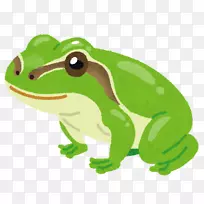 青蛙意思是谚语同义词信息-青蛙