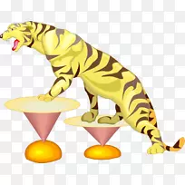 虎狮猫马戏团