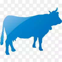荷斯坦，弗里西亚牛，肉牛，安格斯牛，赫里福德牛，艾尔郡牛-动物轮廓