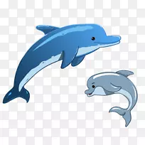 图形海豚图片插图海豚