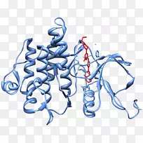 尼洛替尼bcr-abl酪氨酸激酶抑制剂费城染色体