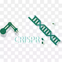 cas 9基因组编辑做自己的生物学.CRISPR