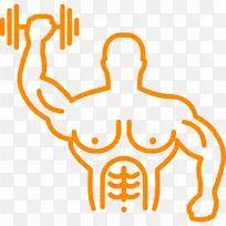 肌肉肥大，健美运动，电肌肉刺激.健美