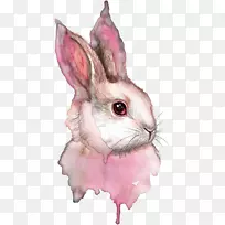 水彩画兔水彩：动物绘画-兔子