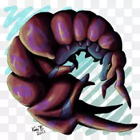 插图无脊椎动物图形紫色千足虫