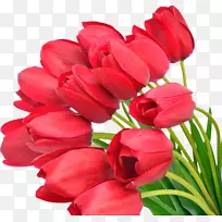 png图片郁金香花束图像.郁金香