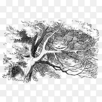 柴郡猫爱丽丝在仙境插画中的冒险
