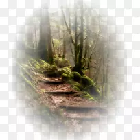 图片/薪酬歌曲mpeg-4第14 mp3