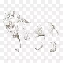 狮子猫狗繁殖豹-狮子