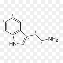 8-苯胺萘-1-磺酸硒蛋氨酸化学物质.结构元素