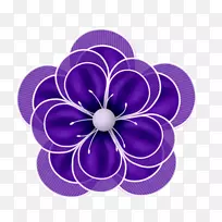 花瓣花紫罗兰图案紫色