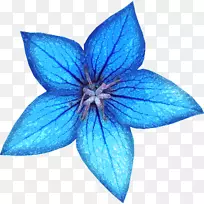 蓝色花束白色形象-花