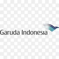 米南卡保国际机场飞机部阿米尔机场加鲁达印尼标志-飞机