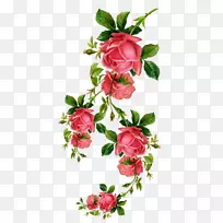 静物：粉色玫瑰剪贴画花园玫瑰形象-玫瑰