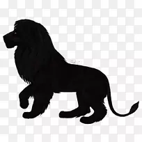 犬种狮子猫黑狮