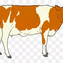 牛磺酸牛夹艺术肉牛小牛图形.衬线