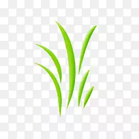 叶植物茎系草.叙述故事的要素