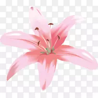 花卉图形复活节百合麦当娜百合剪贴画