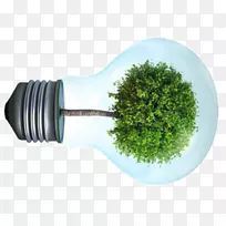 LED灯卤素灯发光二极管爱迪生螺旋灯