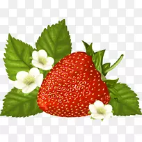 图形剪辑艺术图像插图草莓花