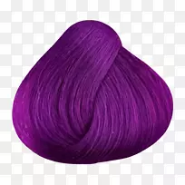 染发人头发颜色紫色发型-紫色