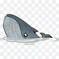 蓝鲸png网络图像鲸鱼wiki