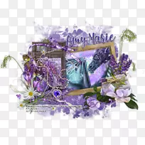 英国薰衣草花束紫色