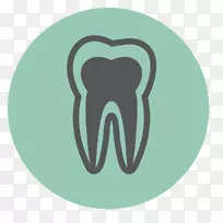 人类牙齿微笑诊所弗兰克斯顿牙科冠-牙科建筑治疗计划