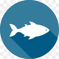 鱼类图形电脑图标海鲜