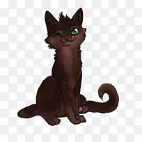 胡须哈瓦那棕色小猫家养短毛猫黑猫猫