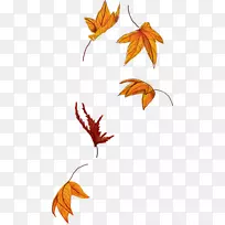 秋叶颜色枫叶贴纸