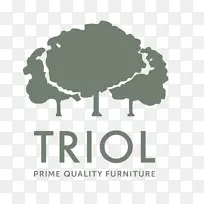 洛杉矶产品设计文本智能手机-Triol