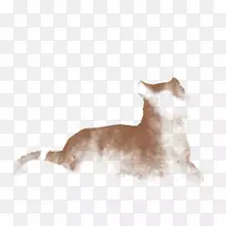 小狗小猫须犬种标准雪纳瑞犬