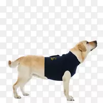 拉布拉多猎犬繁殖犬-上衣-1医疗宠物衬衫MPS-他的后腿袖子-l-衬衫