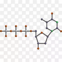 核苷酸剪贴术三磷酸腺苷dna载体图形.三磷酸