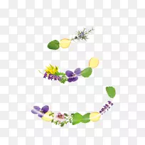 花卉设计产品图形字体