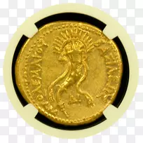 金币货币担保公司