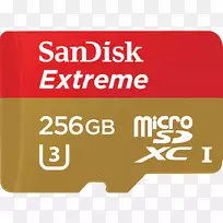 闪存卡SanDisk极限微SD uhs-我保护数字