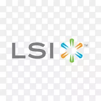 LSI公司系列附加SCSI硬盘驱动器LSI SATA/SAS电缆-带边带-3.3英尺-uyunmi BBU