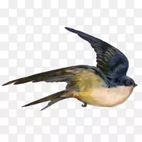 燕子飞行麻雀图-鸟