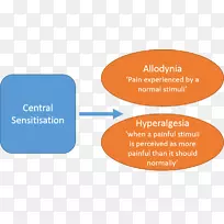 敏化中枢疼痛综合征神经科学神经基质
