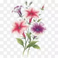 8月22日png图片画土坯Photoshop-花