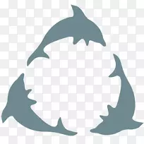 公共关系传播短片艺术海豚符号