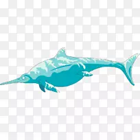 粗齿海豚剪贴画图形鱼龙图像鲨鱼