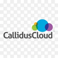 Callidus软件徽标字体品牌电脑软件