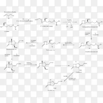 阿莫西林/克拉维酸生物合成抗生素化学合成