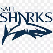 出售鲨鱼标志橄榄球联盟欧洲橄榄球挑战杯橄榄球