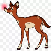 驯鹿麋鹿红狐羚羊驯鹿