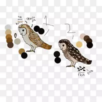 猫头鹰插图卡通动物喙-猫头鹰