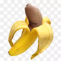 香蕉面包香蕉味牛奶香蕉皮-最撕裂的拳击手